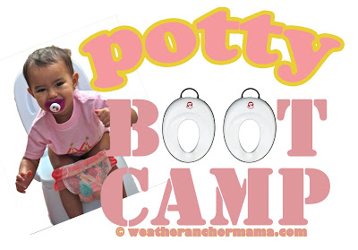 rp_pottybootcamp.jpg