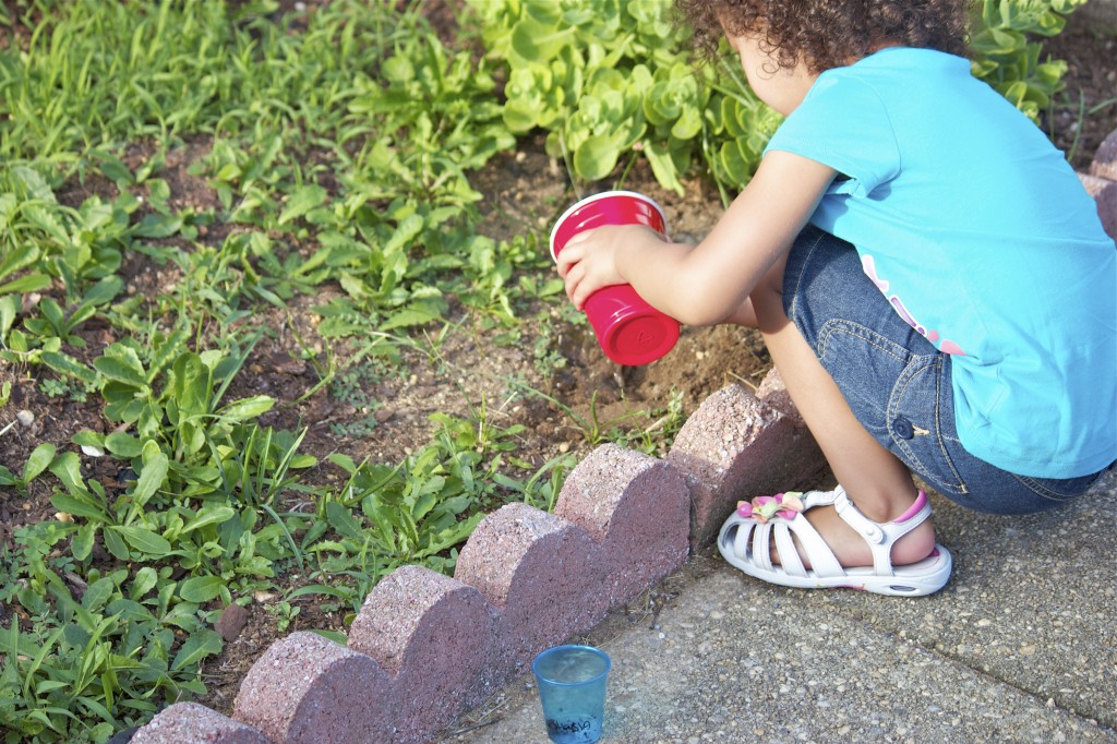 watering seeds