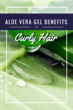 Aloe Vera Gel: 6 Benefits on Curly Hair